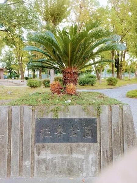 高槻市柱本6丁目　新築戸建(柱本公園)