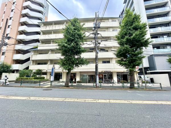 ハイネス中野