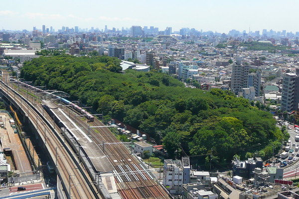 北区神谷3丁目の中古一戸建て(飛鳥山公園)
