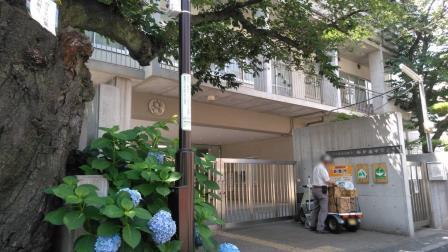 アゼリアコート(新宿区立西新宿中学校)