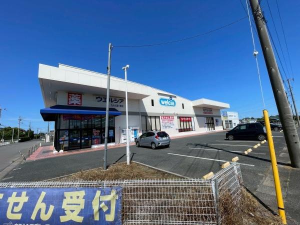 山武郡九十九里町片貝の土地(ウエルシア九十九里片貝店)