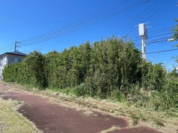 山武郡九十九里町片貝の土地