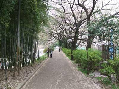 ヴィークコート豊玉サウス(江古田の森公園)