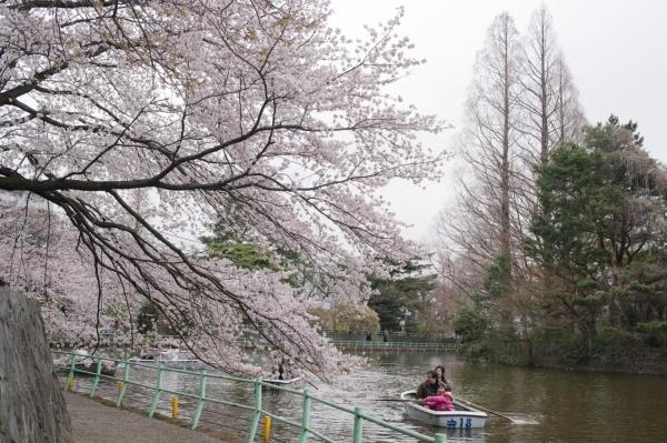 関町南パーク・ホームズ(武蔵関公園)