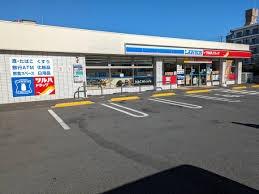 サンウッド杉並和田フラッツ(ローソンツルハドラッグ杉並和田店)