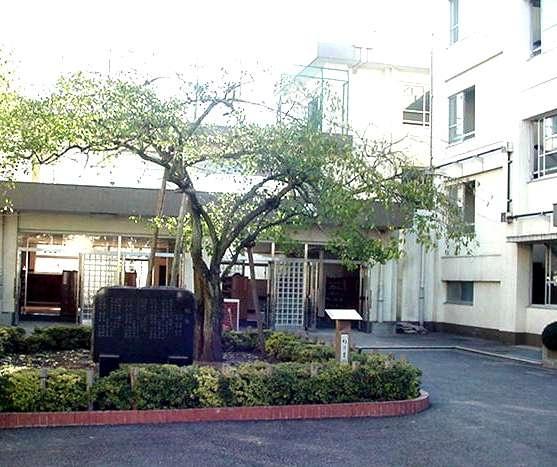 豊玉ハイライズ(練馬区立豊玉東小学校)