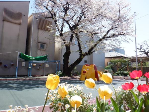 グローリオタワー巣鴨(豊島区立西巣鴨幼稚園)