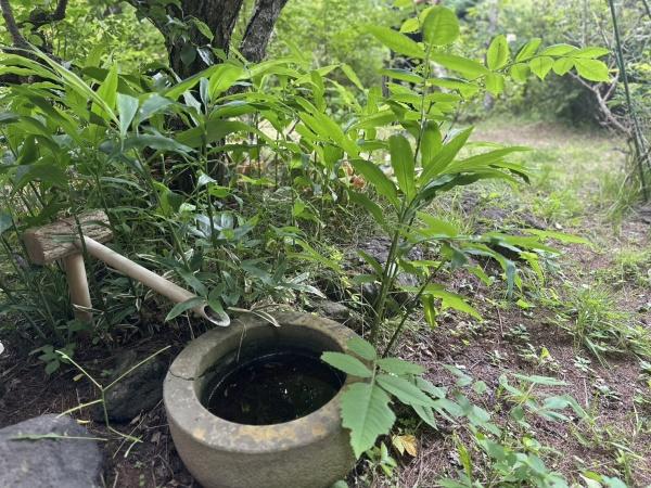 北佐久郡御代田町大字塩野の中古一戸建て