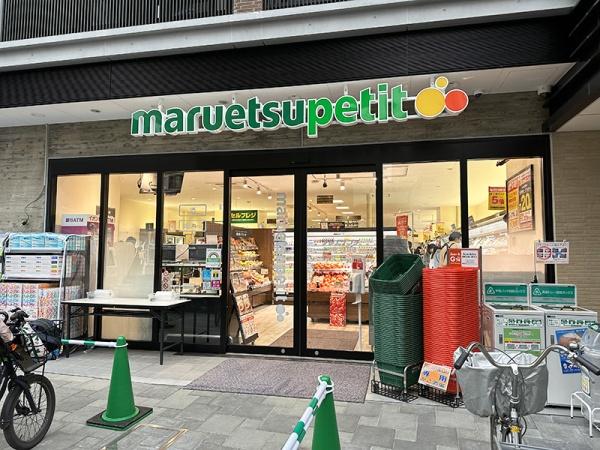サンクレイドルレヴィール池袋(マルエツプチ上池袋二丁目店)