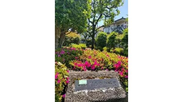 アドゥー氷川台(ほそがみ緑地)
