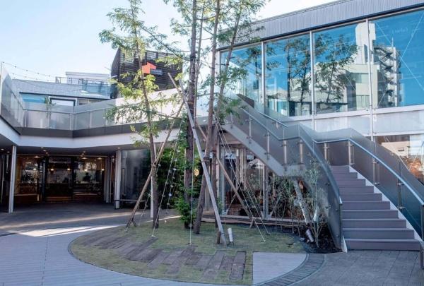 世田谷区奥沢７丁目の中古一戸建て(TRAINCHI　JIYUGAOKA)