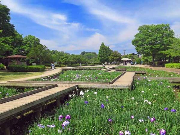 富士見市大字鶴馬の新築一戸建(山崎公園)