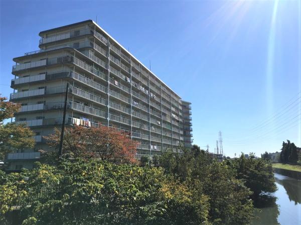 マンハイム大宮