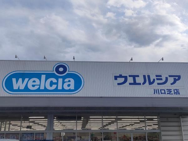 芝マンション(ウェルシア川口芝店)