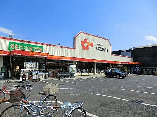 ロイヤルステージ新所沢(スーパーオザムけやき台店)