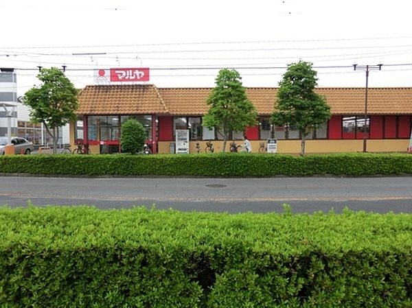 日神パレステージ春日部中央(マルヤ春日部中央店)