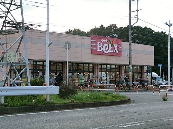 増尾ハイツ2号棟(ベルクス柏つくしが丘店)