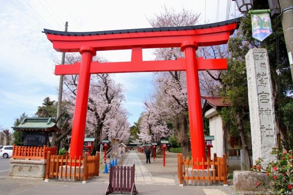 加須市川口1丁目の中古一戸建て(鷲宮神社)