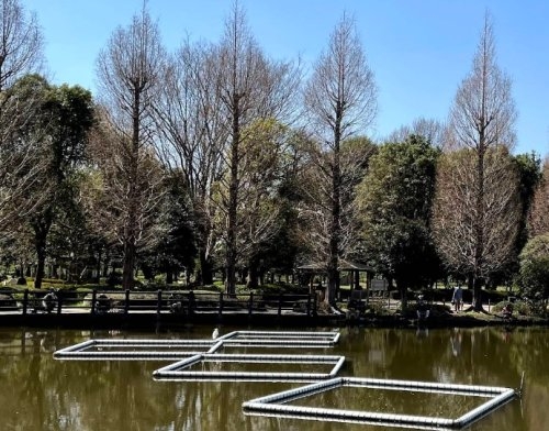 セザール第五東川口(川口自然公園)