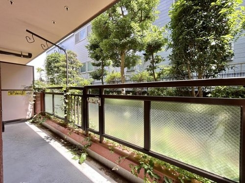 セザール第五東川口