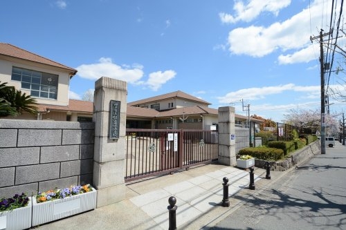 神戸市東灘区住吉台の土地(神戸市立住吉小学校)