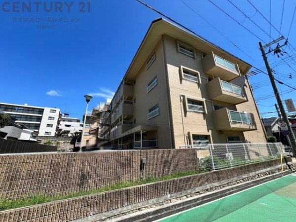 スターハイツ住吉川