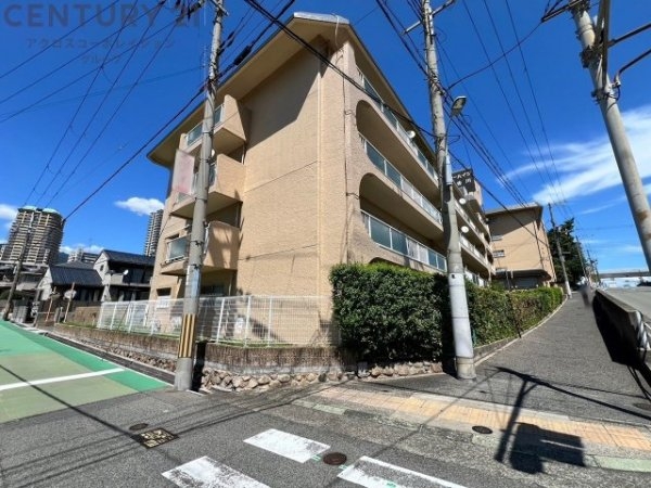 スターハイツ住吉川