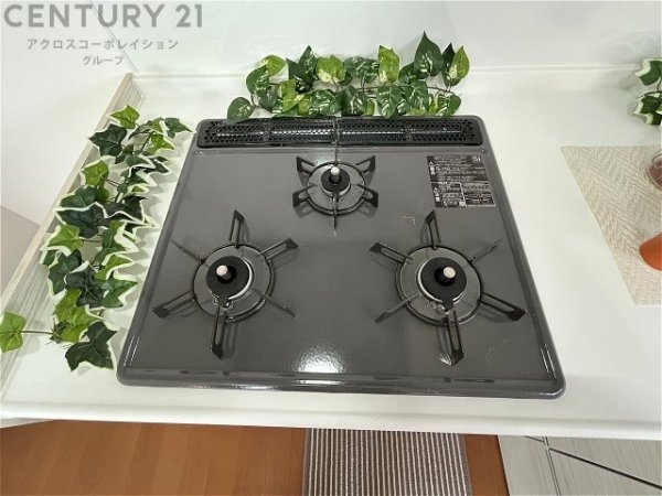 西宮市苦楽園二番町の中古一戸建て(キッチン)