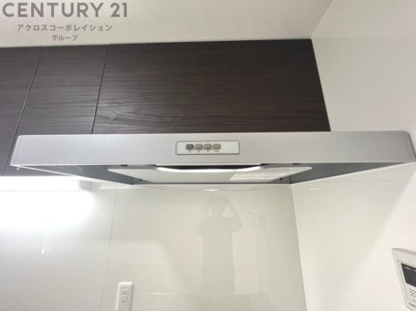 パラツィーナセシリア仁川弐番館