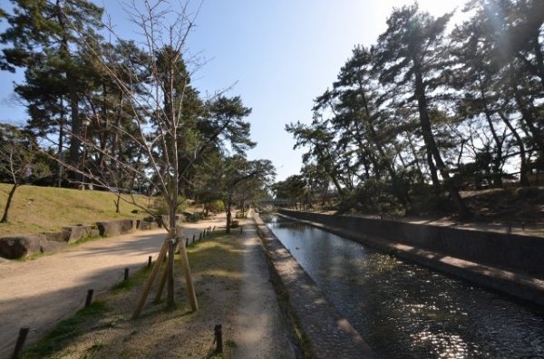 イトーピア夙川結善町