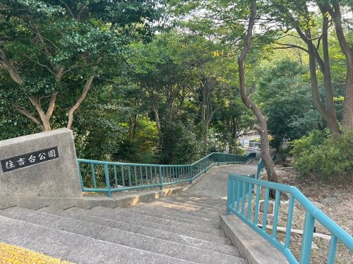 住吉台東住宅3号棟(住吉台公園)