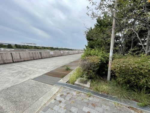 西宮マリナパークシティ海のまち1番館(東海岸緑地)