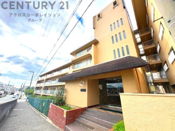 スターハイツ住吉川