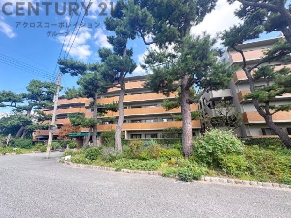 ロイヤル芦屋松浜