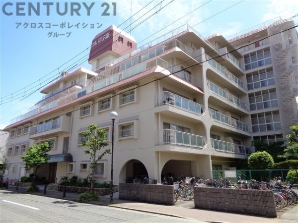 ルネ甲子園