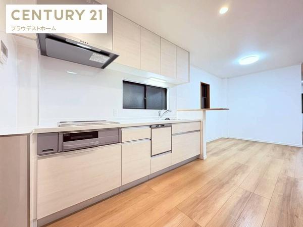 大阪市淀川区野中南１丁目の中古一戸建て