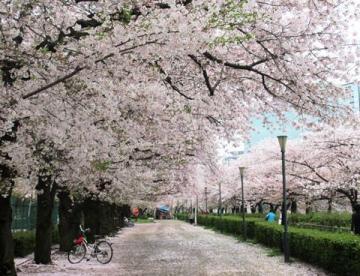 ＯＡＰレジデンスタワー西館(南天満公園)