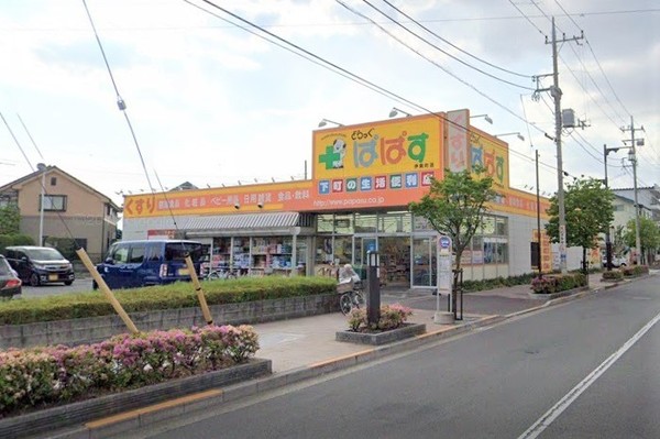足立区東伊興2丁目の中古一戸建て(どらっぐぱぱす伊興町店)