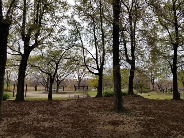ライオンズマンション竹の塚伊興町(都立舎人公園)