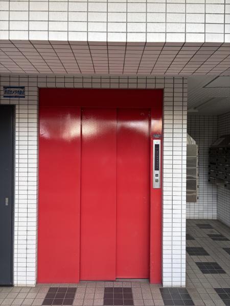 グリーンパーク花畑1