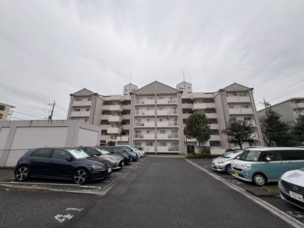 アミティ三郷早稲田