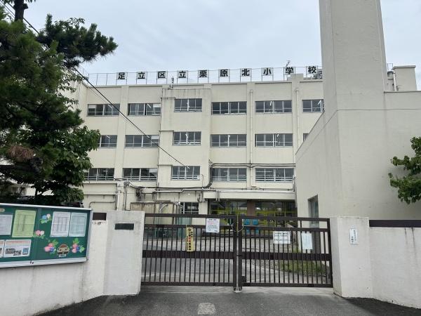 竹の塚パークホームズ(足立区立栗原北小学校)