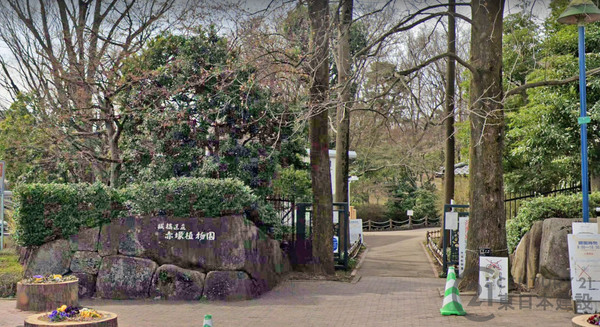 クリオ赤塚壱番館 4階部分(板橋区立赤塚植物園)