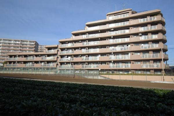 ライオンズガーデン朝霞