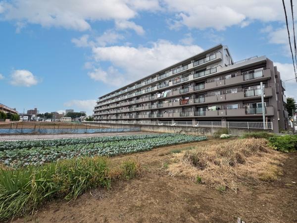 アーベイン朝霞リーデンス