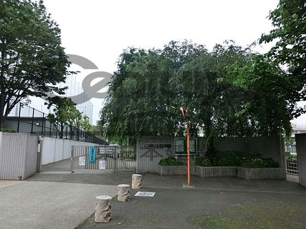 練馬区大泉学園町６丁目の新築一戸建(練馬区立大泉学園桜中学校)