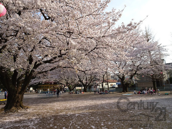朝霞市宮戸４丁目の新築一戸建(北朝霞公園)