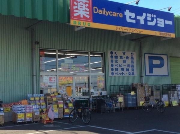 さいたま市南区大字太田窪の中古一戸建て(デイリーケアセイジョー浦和円正寺店)