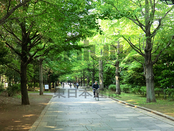 練馬区春日町６丁目の新築一戸建(夏の雲公園)