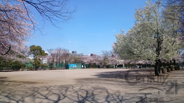 ドラゴンマンション西高島平壱番館(成増北第一公園)